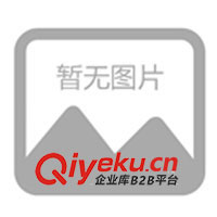 供應廣東鉚接機、廣東鉚合機、廣東鉚釘機